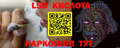 ALPHA PVP Камышлов