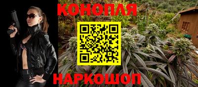 ALPHA PVP Камышлов