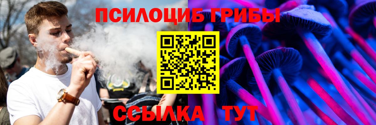 Галлюциногенные грибы GOLDEN TEACHER  Вход с VPN  Кстово 